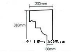 产品分解图型 - 檐口线，型号：SX311-YK-3，规格：230x310mm(3) - 赵县三象EPS建材 zx.sx311.cc